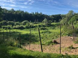 Kauwberg : un site plus écologique