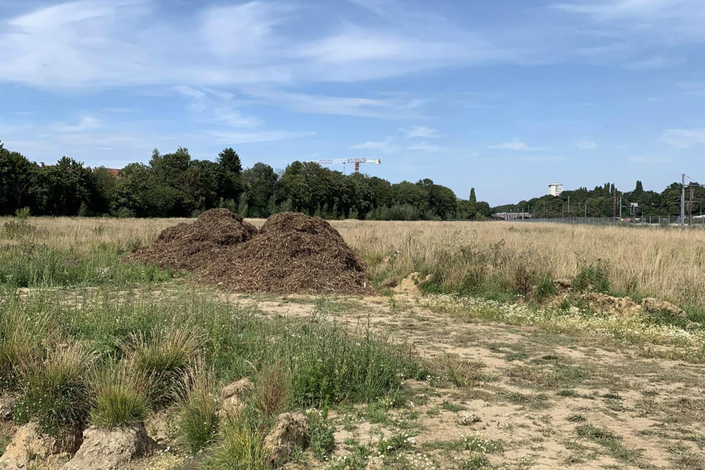 Evere : le combat continue pour notre Friche Josaphat