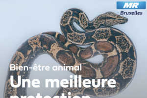 Une meilleure protection des animaux exotiques