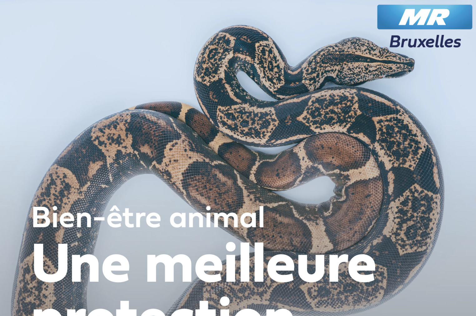 Une meilleure protection des animaux exotiques