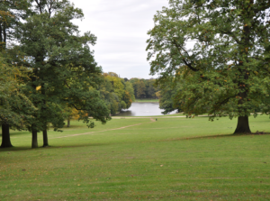 Bois de la Cambre : un nouvel appel en justice contre la Ville de Bruxelles
