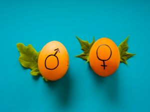 Vers une responsabilité partagée de la contraception ?