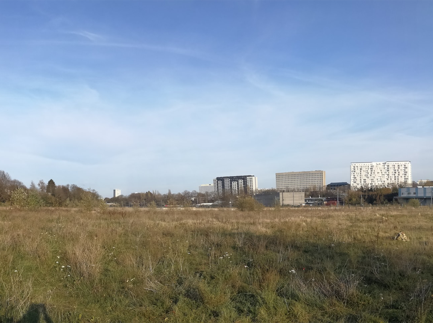 Friche Josaphat : Ecolo-Groen s’inspire des bleus pour faire du vert !