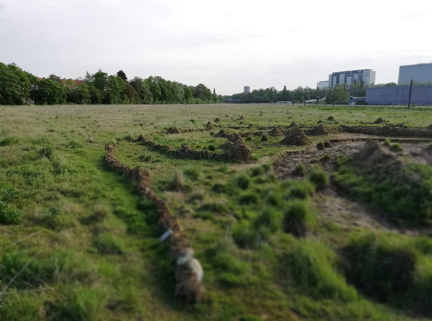 Créer une zone naturelle de 5 hectares sur le PAD Josaphat