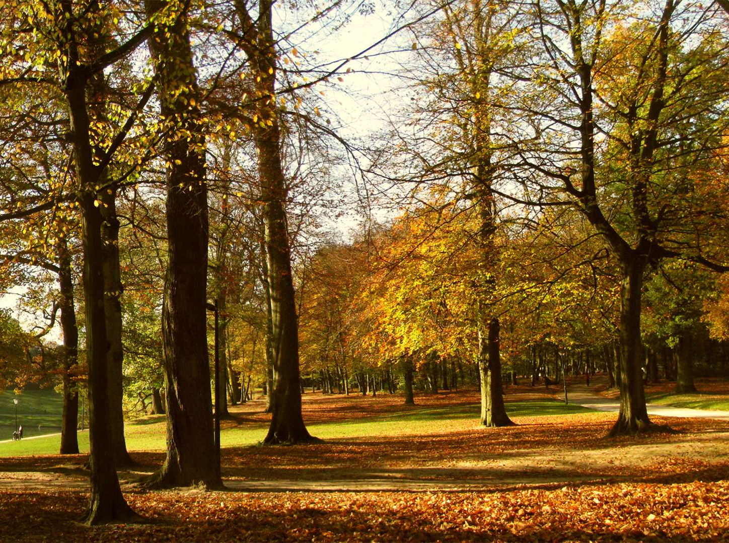Place à un retour de la nature en ville ! Des mesures doivent être prises.